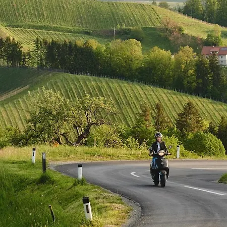 Landgut Am Poessnitzberg מלון