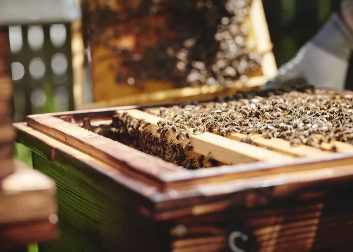 Landgut Am Poessnitzberg 4* Leutschach