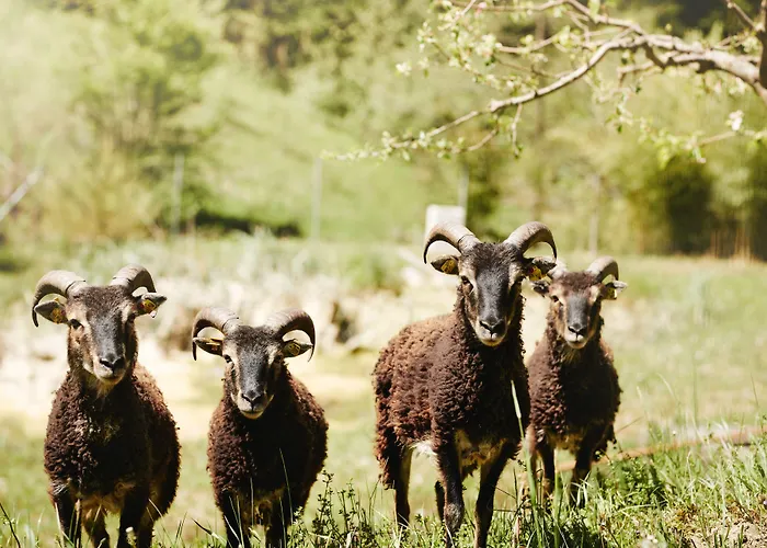 Landgut Am Poessnitzberg Hotell 4*